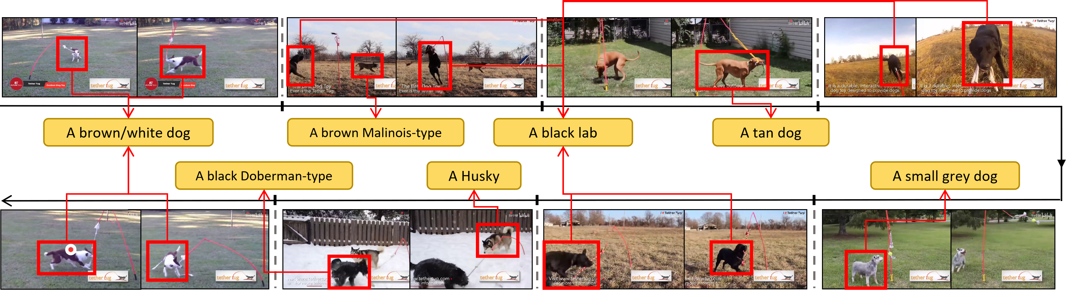 QID 166 reasoning image